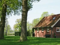 T Leuske 