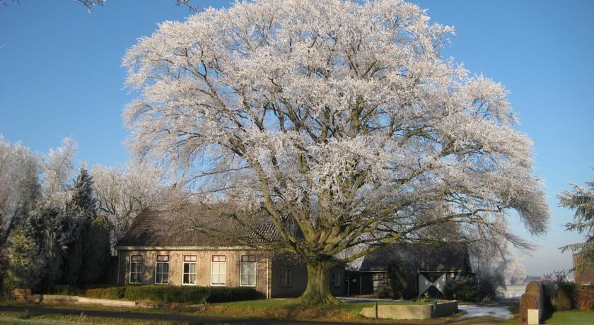 B&B Huize de Rode Beuk 