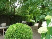B&B Townhouse51 