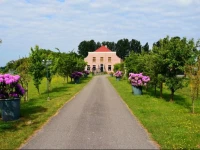 B&B Goeree Overflakkee 