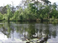 Mincamping de Lindehoef 