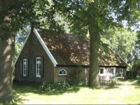 Haantje 