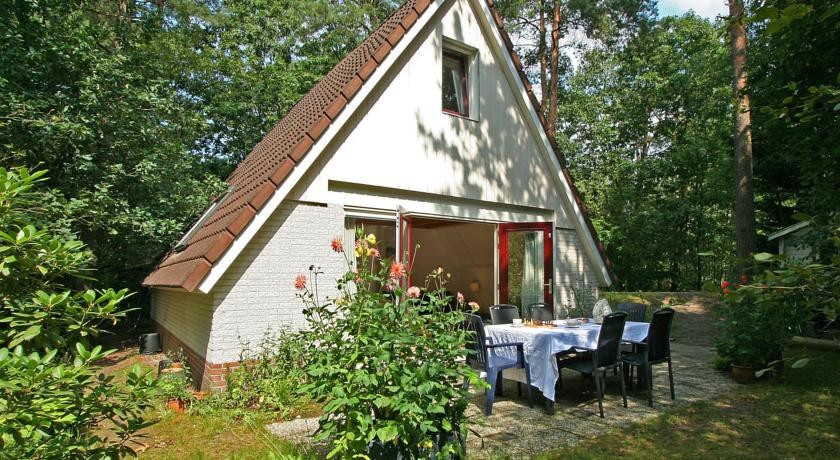 Kleine Vos 