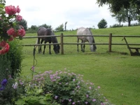 Countryhouse Zuid-Limburg 