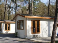 Chalet Vakantiepark De Reebok 2 