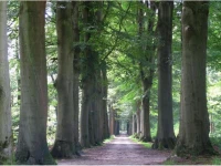 Gastenverblijf Klein Eden 