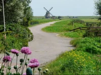Pension Zonneweelde 