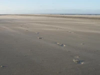 De Herbergh van Flielant 