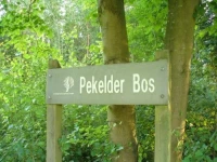 Studio op een schiereiland 