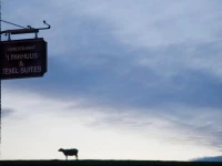 Texel Suites 