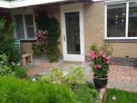 Achter de Beukenboom 