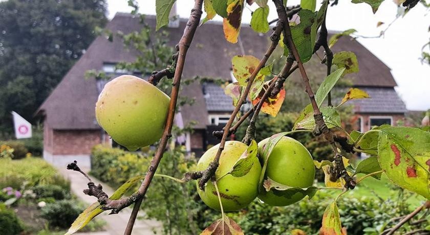 B&B Gasterij de Heihorst 