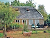 Holiday home Surhuizum II 