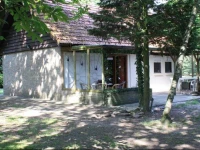 Vogelnestje 