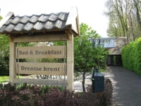Drentse krent 