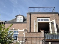 Koningsvlinder 