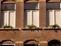B&B Het Venloos Plekje 