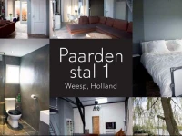 Koeienstal 