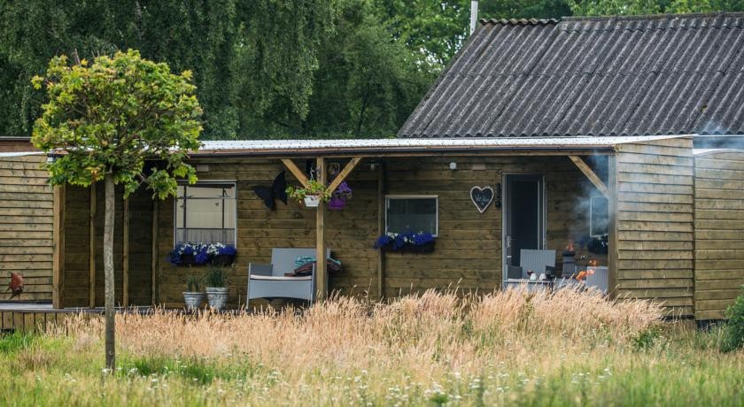 Bed & Brakkenhof 