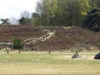 Farm stay Familiehuis Westeinde 2 