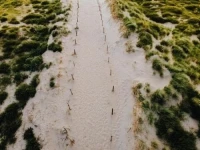 Lionsdune Beach 