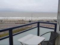 Sterre der Zee 