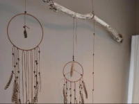 Studio 22 