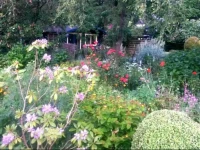 B & B het groene hart 