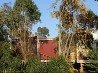 Driftwood Retreat and Eco-Tours 