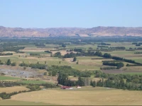 Pahau Downs 