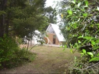 Birdsnest Glamping 