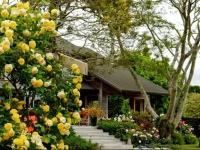 Ashfields Country Garden B&B 