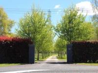 Korbaylen Estate 