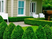 Briarwood Greytown Boutique Hotel 