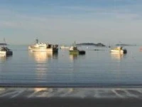 South Sea Hotel - Stewart Island 