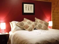 Astelia Lodge 