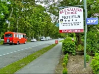 Glenalvon Lodge Motel 
