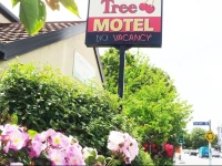 Cherry Tree Lodge Motel 