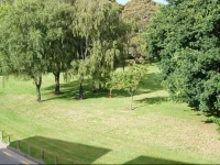 Two Bedroom Apartment Riccarton 