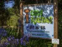 Cats Pjamas Organic Bed and Breakfast 