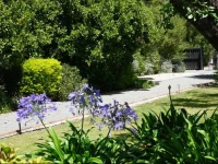 Aylstone Martinborough 
