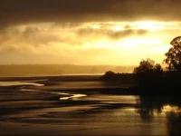 Estuary Edge 