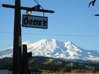 Ossies Motels and Chalets 4*