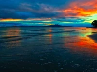 Mairangi Bay Beach House 