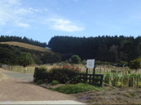 Dellows Waiheke