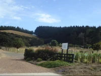 Dellows Waiheke 