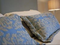Aubyn Court Spa Motel 