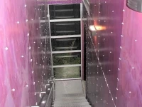 Top Floor Bed and Breakfast 