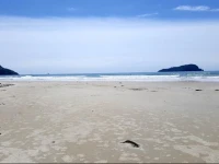 Pauanui Ocean View 