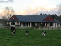 Amberfields Bed and Breakfast 4*